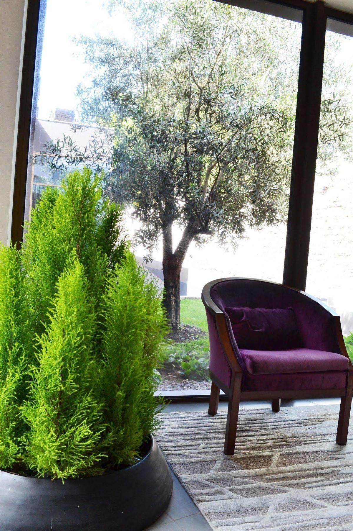 Enotel Magnolia (adults Only) Hotel 4*