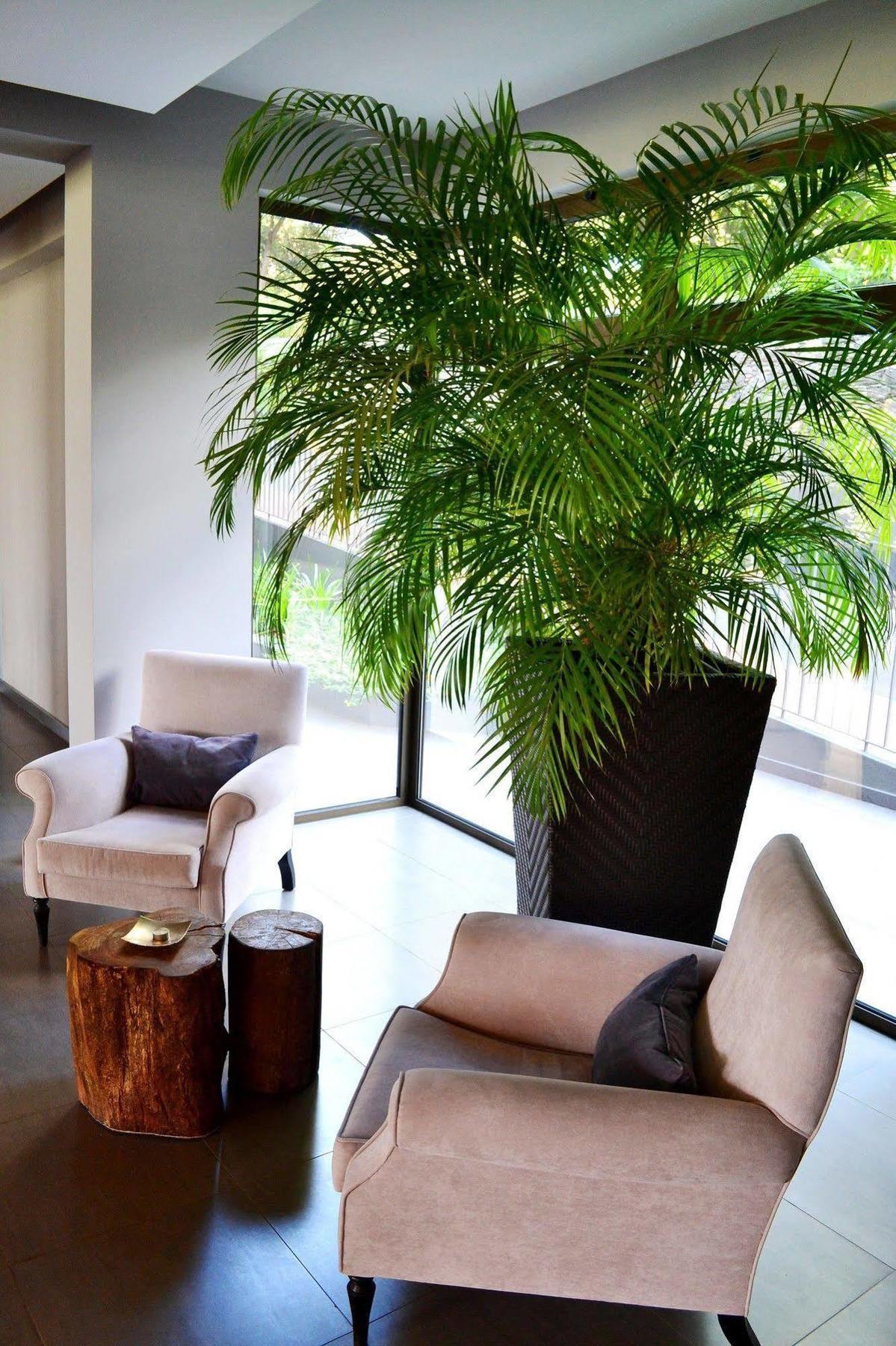 Hotel Enotel Magnolia (adults Only)